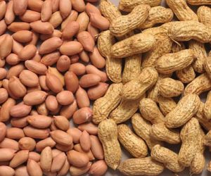 4f72d765-groundnut-representation-1080x675-1