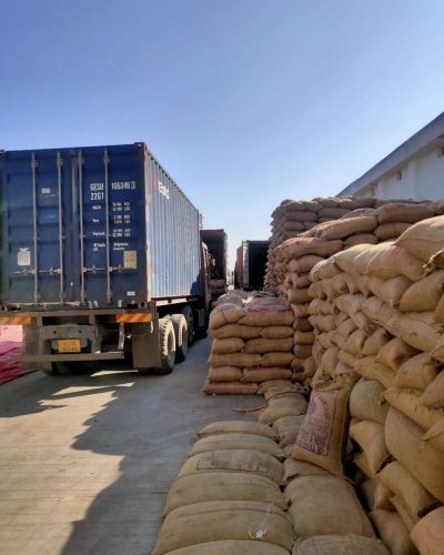 Savan kumbhani on LinkedIn_ #peanut #export2021 #groundnut
