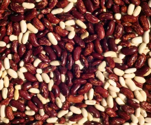 pile-red-white-soya-beans-pile-red-white-soya-beans-food-ingredientes-background-160563169